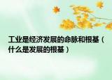 工业是经济发展的命脉和根基（什么是发展的根基）