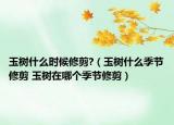 玉树什么时候修剪?（玉树什么季节修剪 玉树在哪个季节修剪）