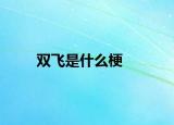 双飞是什么梗