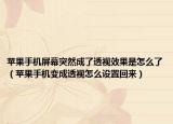 苹果手机屏幕突然成了透视效果是怎么了（苹果手机变成透视怎么设置回来）