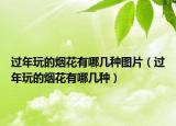 过年玩的烟花有哪几种图片（过年玩的烟花有哪几种）