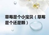 草莓是个小宝贝（草莓是个还是颗）