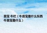 喜宝 牛栏（牛喜宝是什么东西 牛喜宝是什么）