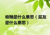 喷釉是什么意思（盆友是什么意思）