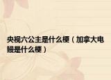 央视六公主是什么梗（加拿大电鳗是什么梗）