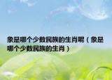 象是哪个少数民族的生肖呢（象是哪个少数民族的生肖）