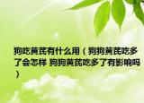 狗吃黄芪有什么用（狗狗黄芪吃多了会怎样 狗狗黄芪吃多了有影响吗）