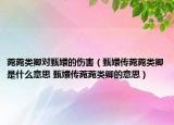 菀菀类卿对甄嬛的伤害（甄嬛传菀菀类卿是什么意思 甄嬛传菀菀类卿的意思）