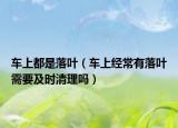 车上都是落叶（车上经常有落叶需要及时清理吗）