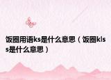 饭圈用语ks是什么意思（饭圈klss是什么意思）