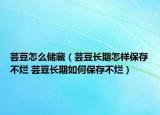 芸豆怎么储藏（芸豆长期怎样保存不烂 芸豆长期如何保存不烂）