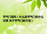 节气门百科（什么是节气门在什么位置 关于节气门的介绍）