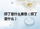 捞丁是什么意思（捞丁是什么）
