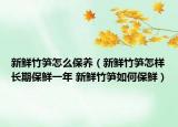 新鲜竹笋怎么保养（新鲜竹笋怎样长期保鲜一年 新鲜竹笋如何保鲜）