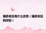猫抓老鼠有什么优势（猫抓老鼠的经验）