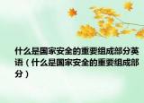 什么是国家安全的重要组成部分英语（什么是国家安全的重要组成部分）