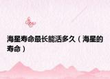 海星寿命最长能活多久（海星的寿命）