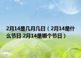 2月14是几月几日（2月14是什么节日 2月14是哪个节日）