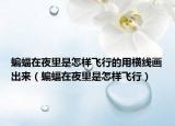 蝙蝠在夜里是怎样飞行的用横线画出来（蝙蝠在夜里是怎样飞行）