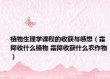 植物生理学课程的收获与感想（霜降收什么植物 霜降收获什么农作物）