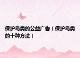 保护鸟类的公益广告（保护鸟类的十种方法）