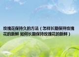 玫瑰花保持久的方法（怎样长期保持玫瑰花的新鲜 如何长期保持玫瑰花的新鲜）