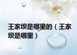 王家坝是哪里的（王家坝是哪里）