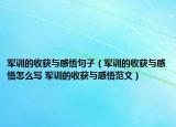 军训的收获与感悟句子（军训的收获与感悟怎么写 军训的收获与感悟范文）