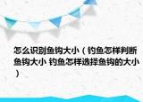 怎么识别鱼钩大小（钓鱼怎样判断鱼钩大小 钓鱼怎样选择鱼钩的大小）