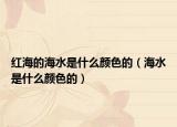 红海的海水是什么颜色的（海水是什么颜色的）