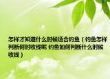 怎样才知道什么时候适合钓鱼（钓鱼怎样判断何时收线呢 钓鱼如何判断什么时候收线）