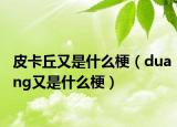 皮卡丘又是什么梗（duang又是什么梗）