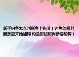 新手钓鱼怎么判断鱼上钩没（钓鱼怎样判断是否开始加钩 钓鱼时如何判断要加钩）