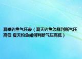 夏季钓鱼气压表（夏天钓鱼怎样判断气压高低 夏天钓鱼如何判断气压高低）