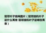 翡翠叶子挂绳图片（翡翠挂机叶子是什么寓意 翡翠挂机叶子是哪些寓意）