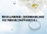 野钓怎么判断鱼情（怎样判断钓鱼口味好不好 判断钓鱼口味好不好的方法）