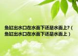 鱼缸出水口在水面下还是水面上?（鱼缸出水口在水面下还是水面上）