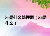 xr是什么处理器（xr是什么）