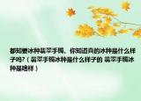 都知要冰种翡翠手镯、你知道真的冰种是什么样子吗?（翡翠手镯冰种是什么样子的 翡翠手镯冰种是啥样）