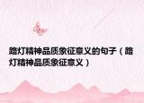 路灯精神品质象征意义的句子（路灯精神品质象征意义）