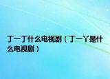 丁一丁什么电视剧（丁一丫是什么电视剧）