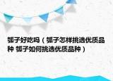 瓠子好吃吗（瓠子怎样挑选优质品种 瓠子如何挑选优质品种）