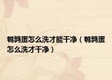鹌鹑蛋怎么洗才能干净（鹌鹑蛋怎么洗才干净）