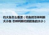 钓大鱼怎么看漂（钓鱼时怎样判断大小鱼 怎样判断钓到的鱼的大小）