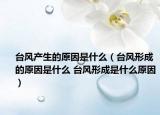 台风产生的原因是什么（台风形成的原因是什么 台风形成是什么原因）