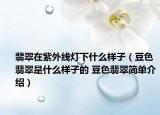 翡翠在紫外线灯下什么样子（豆色翡翠是什么样子的 豆色翡翠简单介绍）