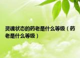 灵魂状态的药老是什么等级（药老是什么等级）