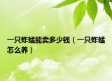 一只蚱蜢能卖多少钱（一只蚱蜢怎么养）