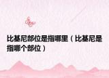 比基尼部位是指哪里（比基尼是指哪个部位）