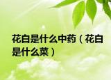 花白是什么中药（花白是什么菜）